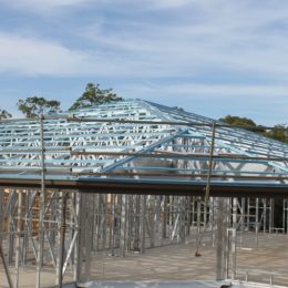 IMG_5972 (1)